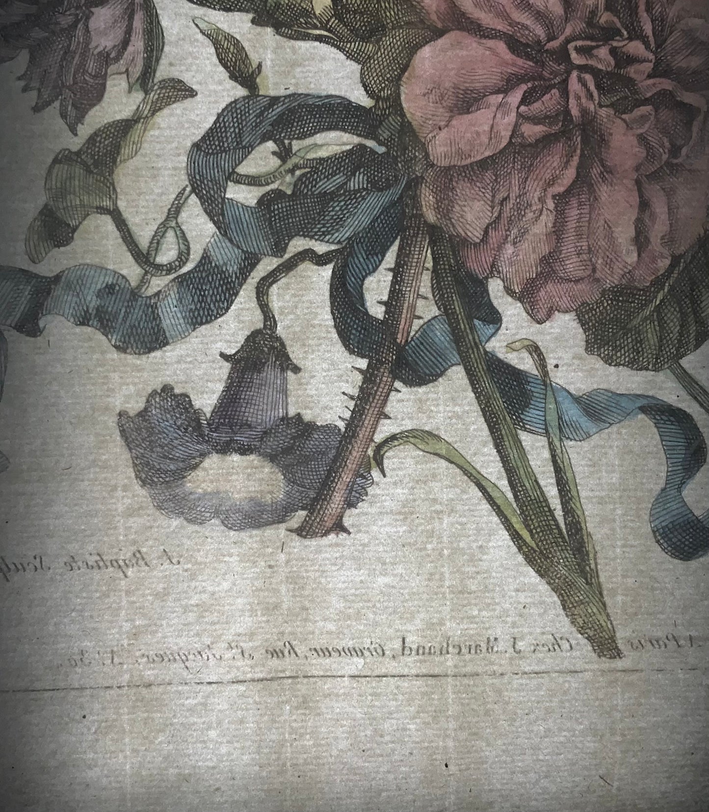 1780 Bouquet Floral, Jean-Baptiste Coste, roses, coloriées à la main, botanique