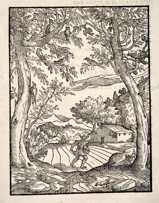 1570 Gio. M. Verdizzotti (1525-1600); Tilled field & birds, woodcut leaf