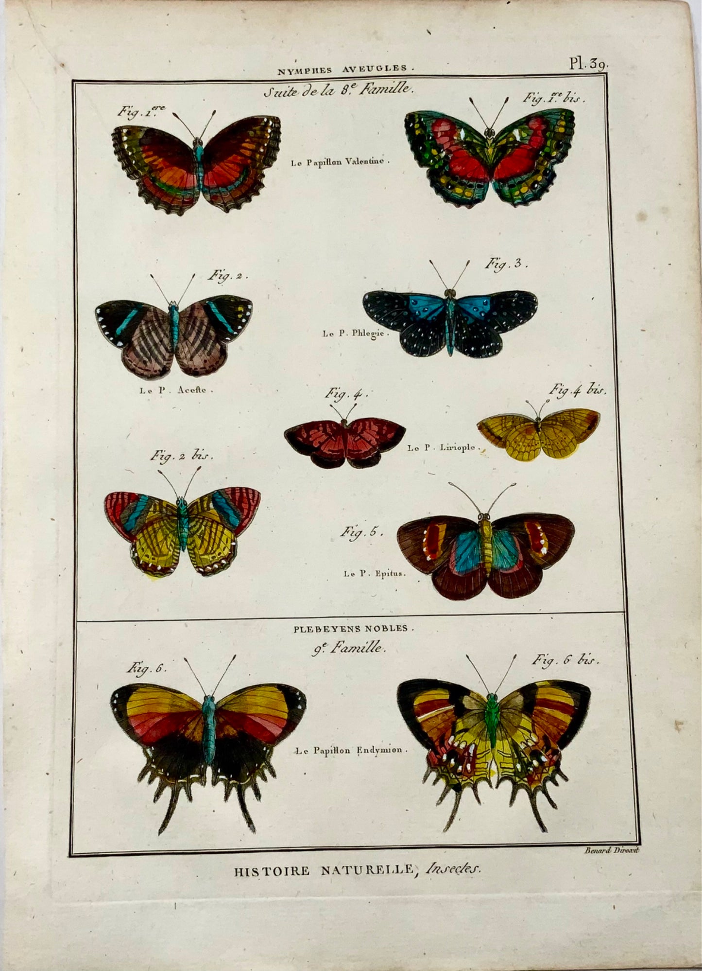 1794 Latreille; Butterflies Nymphs, Handcoloured quarto copper engraving - Inse