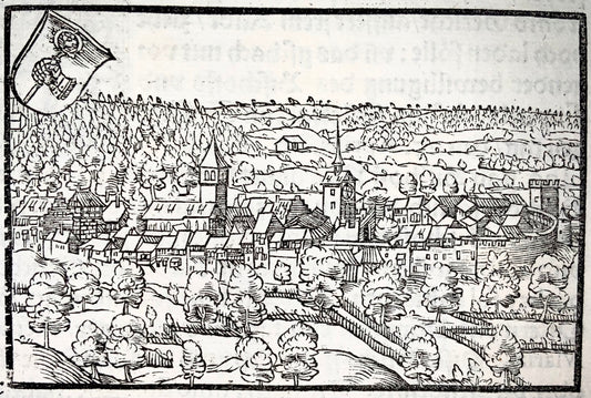 1548 Joh. Stumpf, Bischofzell, Switzerland, fine woodcut Leaf