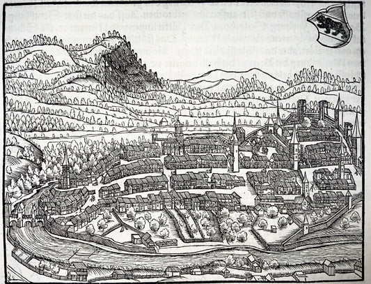 1548 Joh. Stumpf, Berne, Bern, Switzerland, fine woodcut Leaf