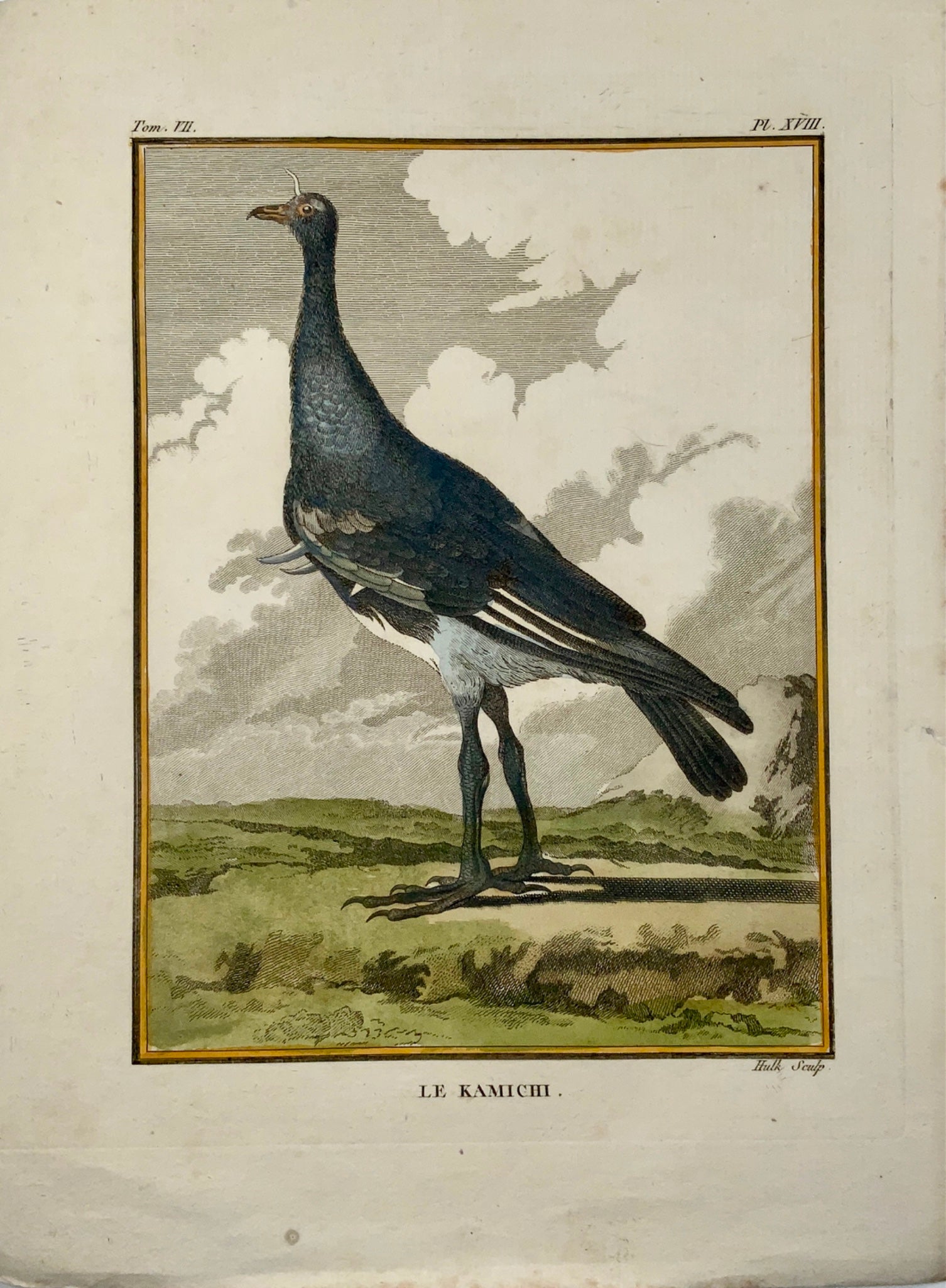 1779 de Seve - SCREAMER - Ornithology - 4to Large Edn engraving