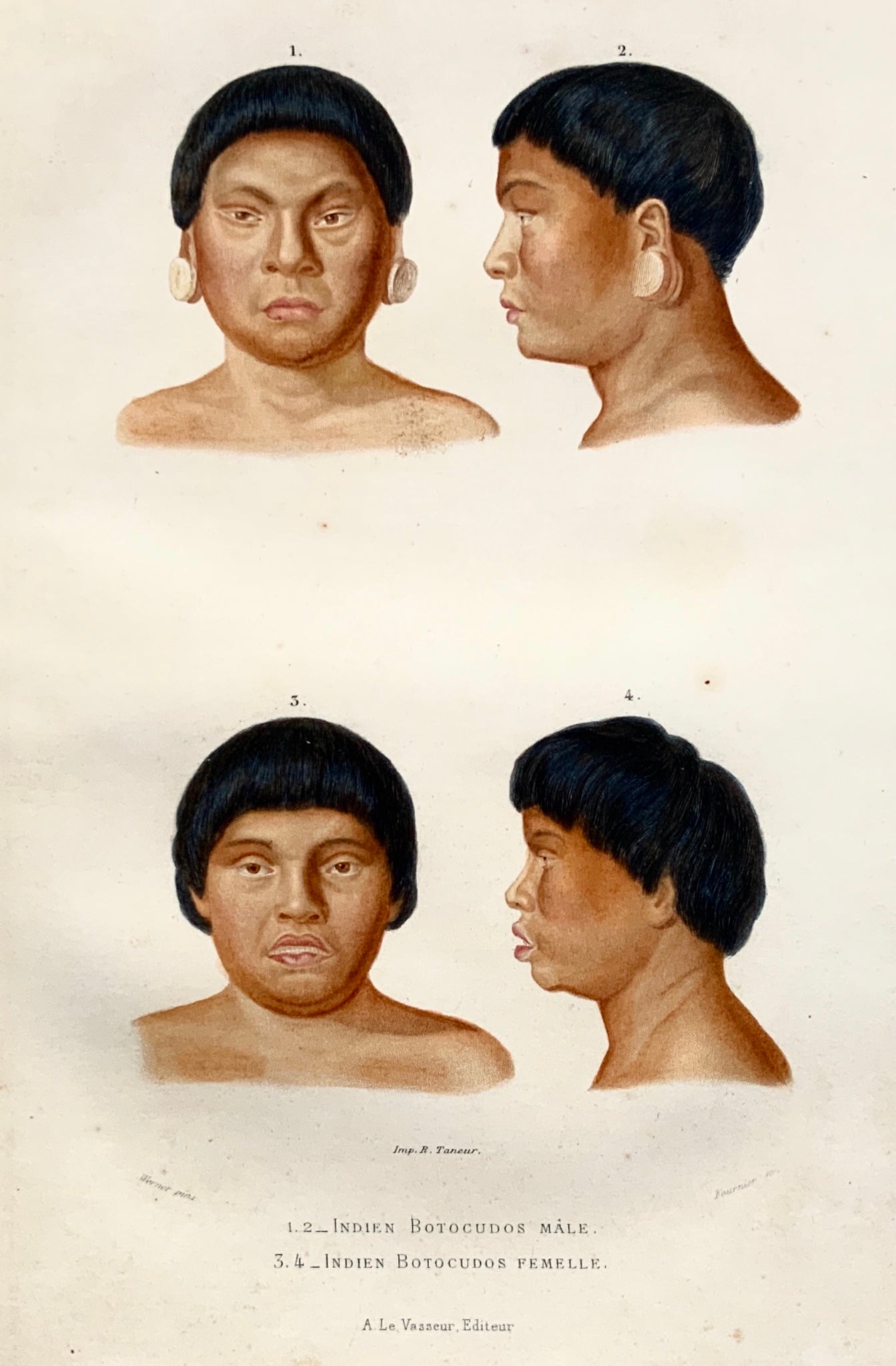 1849 Fournier after Werner - Botocudo Indians - original hand colour - Ethnology