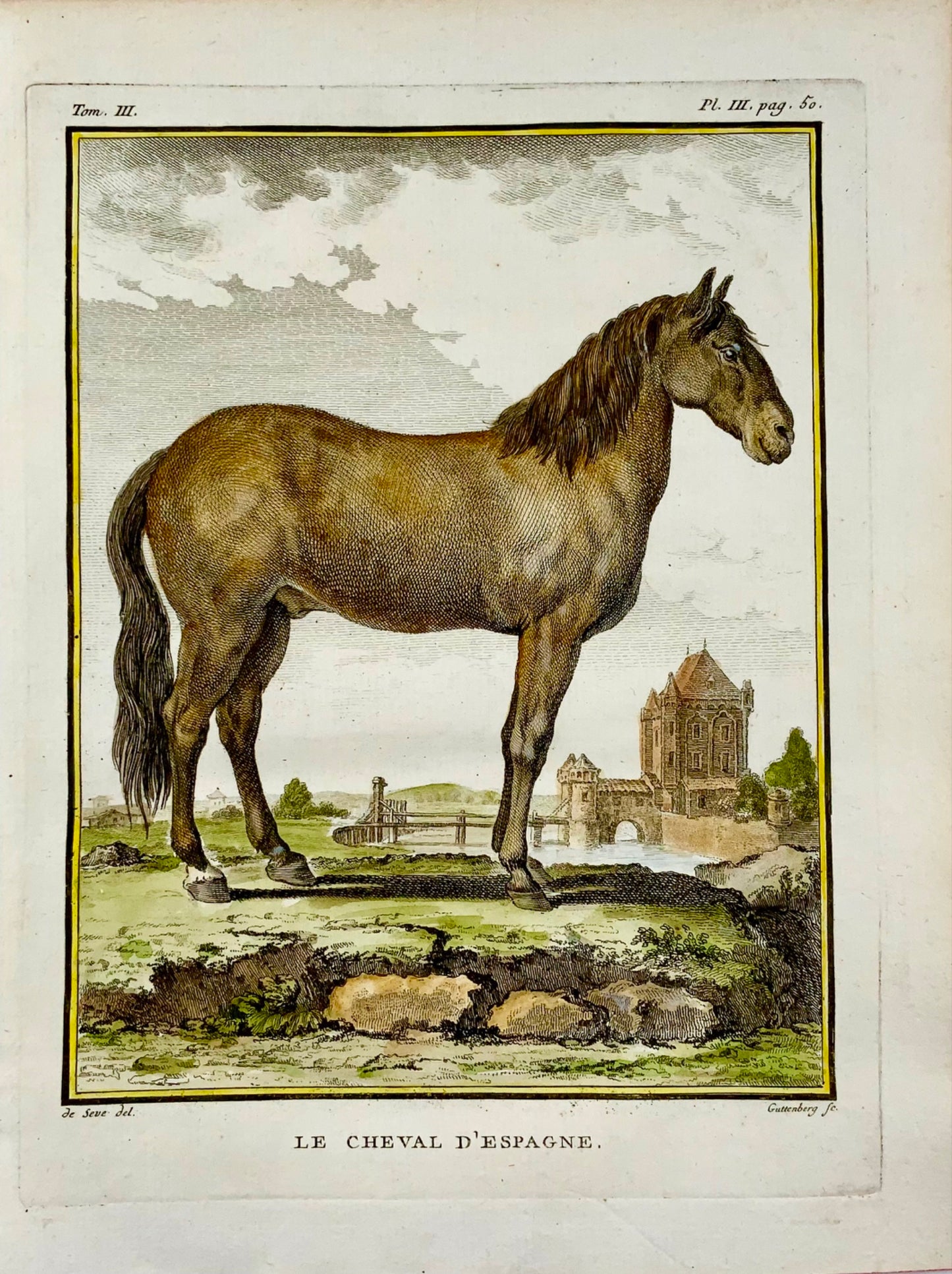 1766 De Sève; CHEVAL espagnol grande édition QUARTO gravure colorée à la main - Mammifère