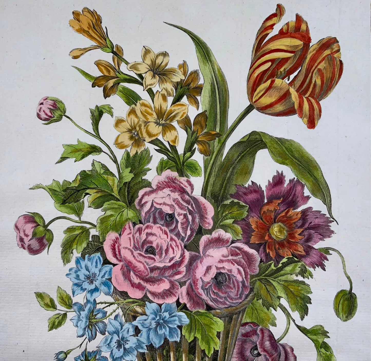 1780 Floral Spring Bouquet, Louis Tessier, folio, tulip, poeny, hand coloured