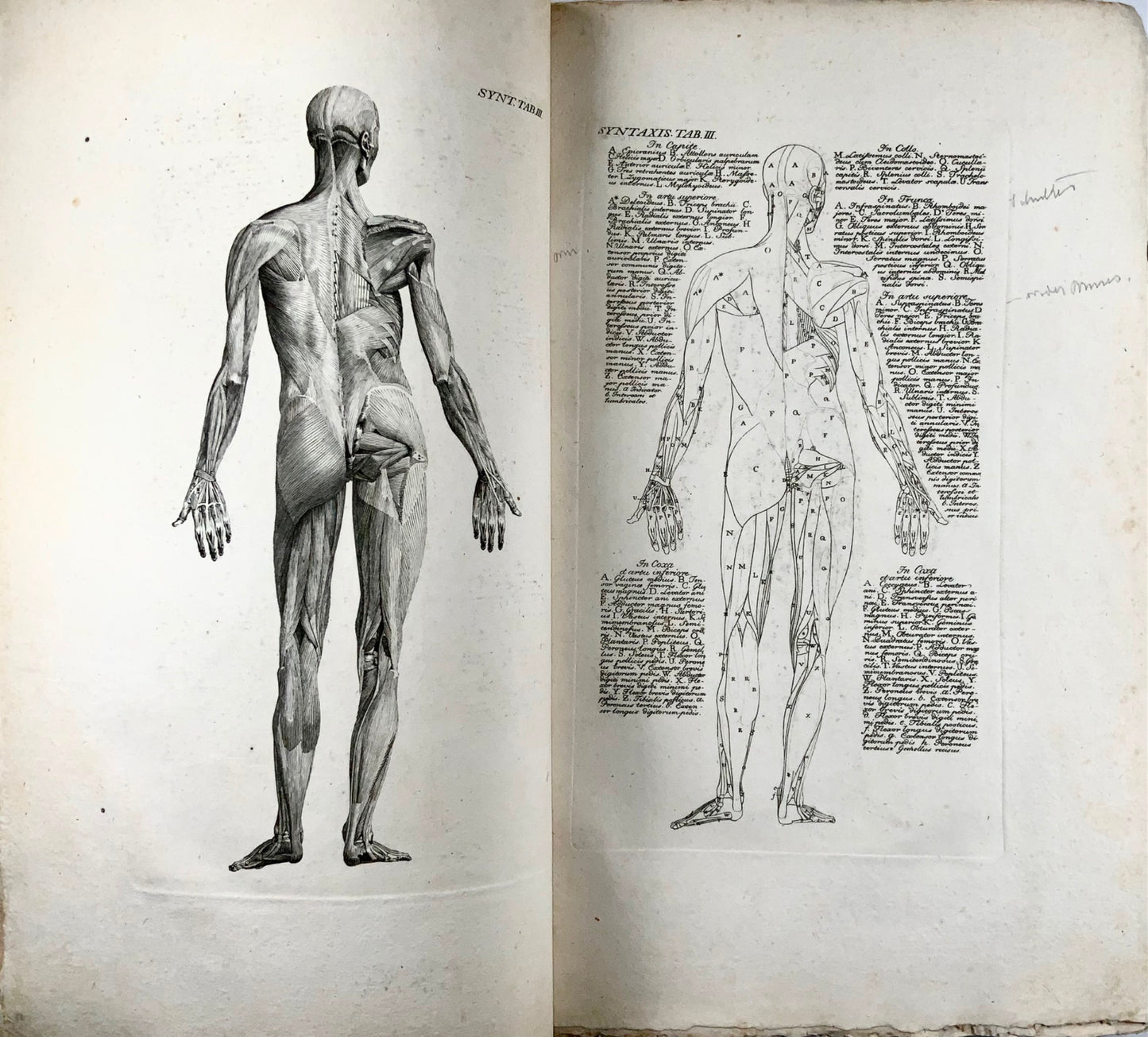 1819 J. Barth, Anfangsgründe der Muskellehre, folio, 61 gravures sur cuivre, médecine, livre, anatomie