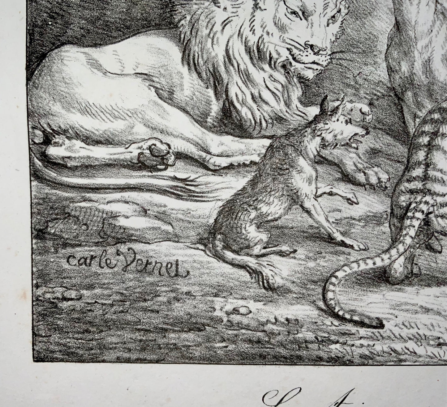 1818 'Incunables de lithographie' Carle Vernet, G. Engelmann, Bestiaire, Lion