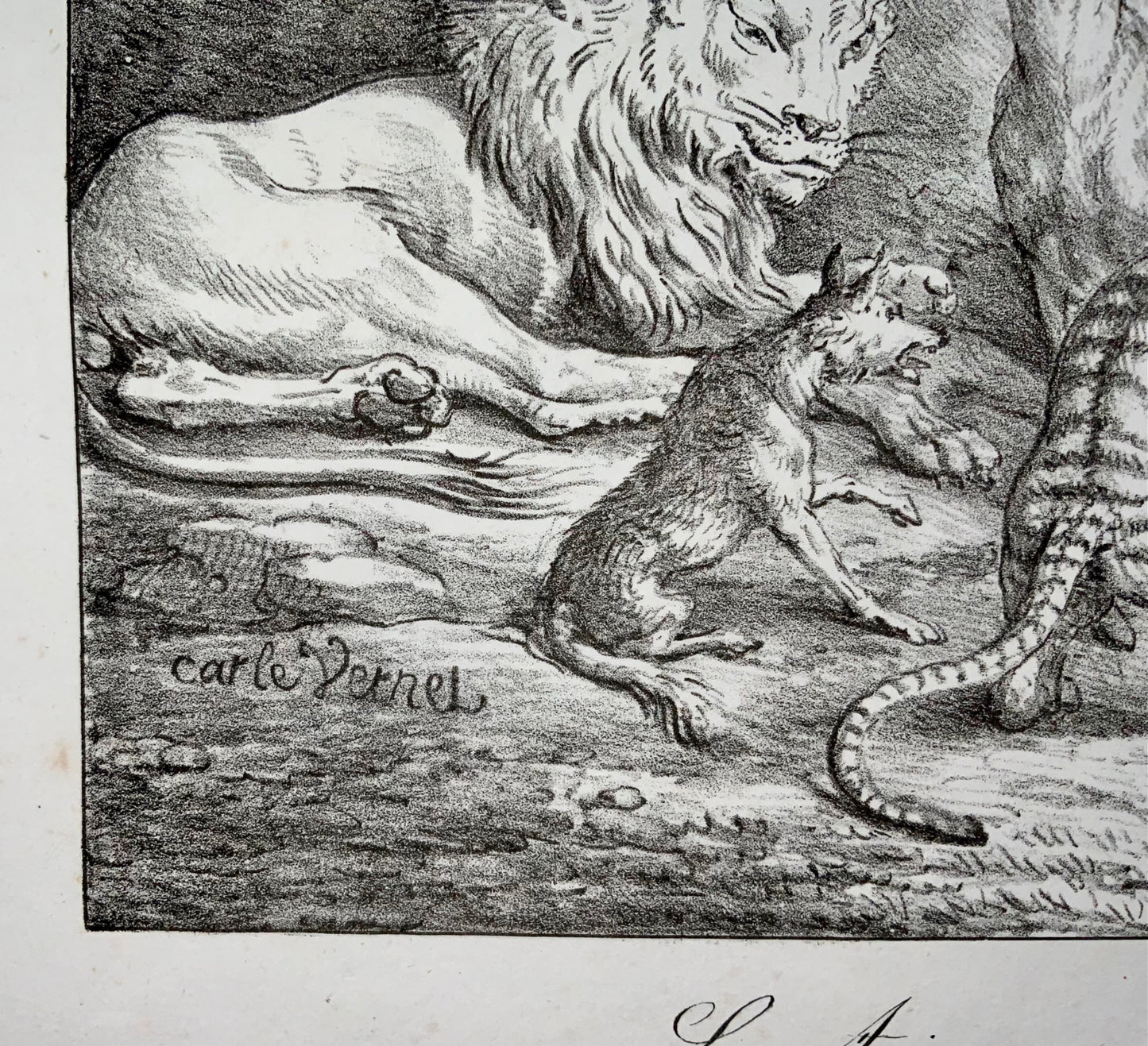 1818 ‘Incunabula of Lithography’ Carle Vernet, G. Engelmann, Bestiary, Lion