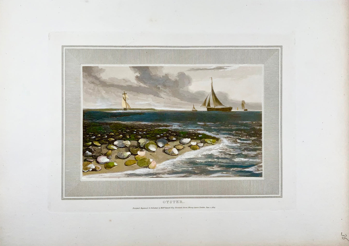 1809 William Daniell, Oysters, marine, hand coloured aquatint, aquatic