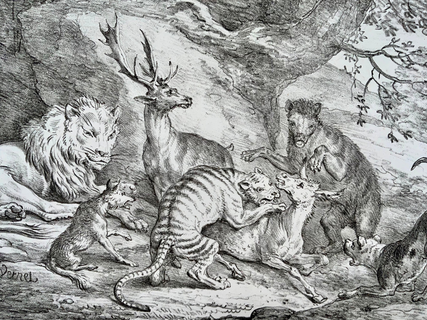 1818 'Incunables de lithographie' Carle Vernet, G. Engelmann, Bestiaire, Lion