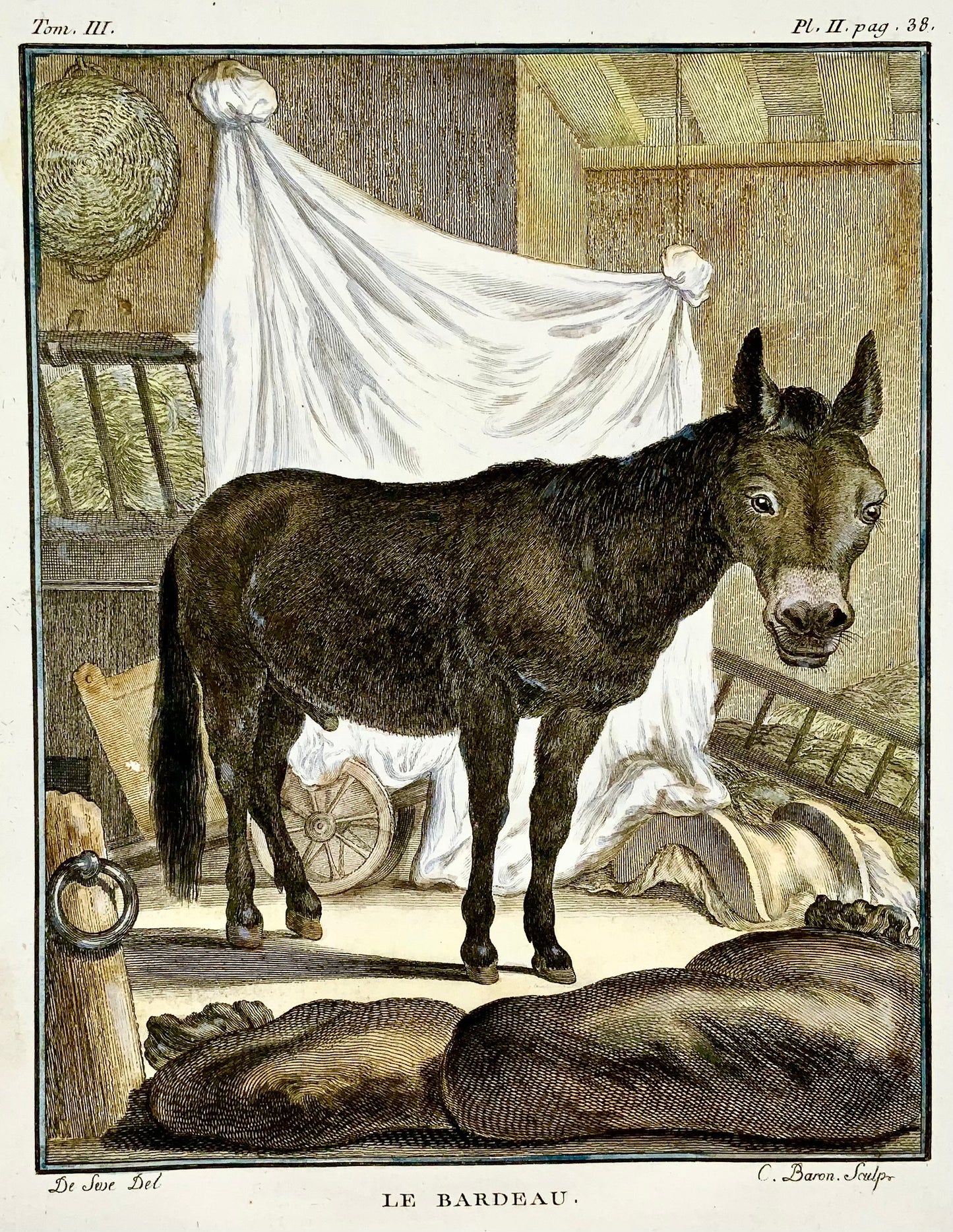 1766 De Sève; Âne Bardeau grande édition QUARTO gravure coloriée à la main - Mammifère