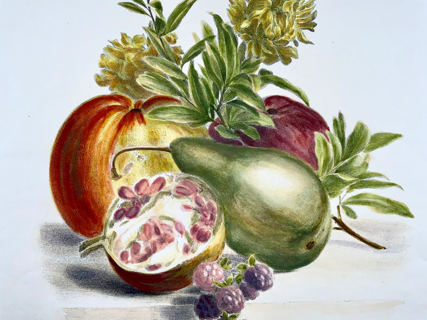 1836 A. Weiss; Desguerrois - Fine Bouquet of Fruit - original hand colour