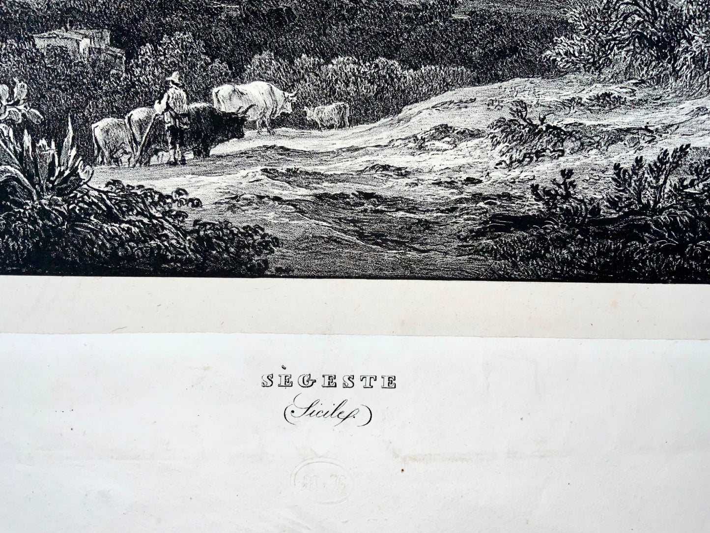 1833 Ségeste Sicile, Muller &amp; Horner, Ledoux sc., grande lithographie en pierre