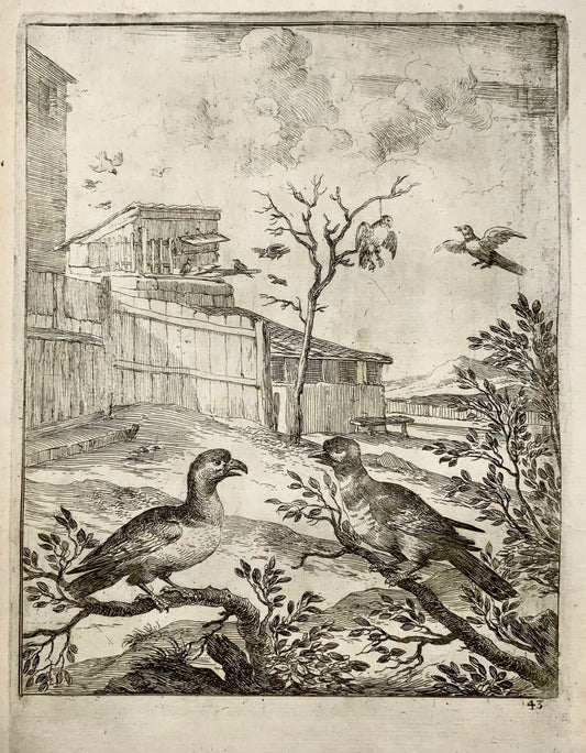 1666 Wenceslaus Hollar (1607-1677), Hawk &amp; Nightingale, Esope, maître de la gravure, art classique 