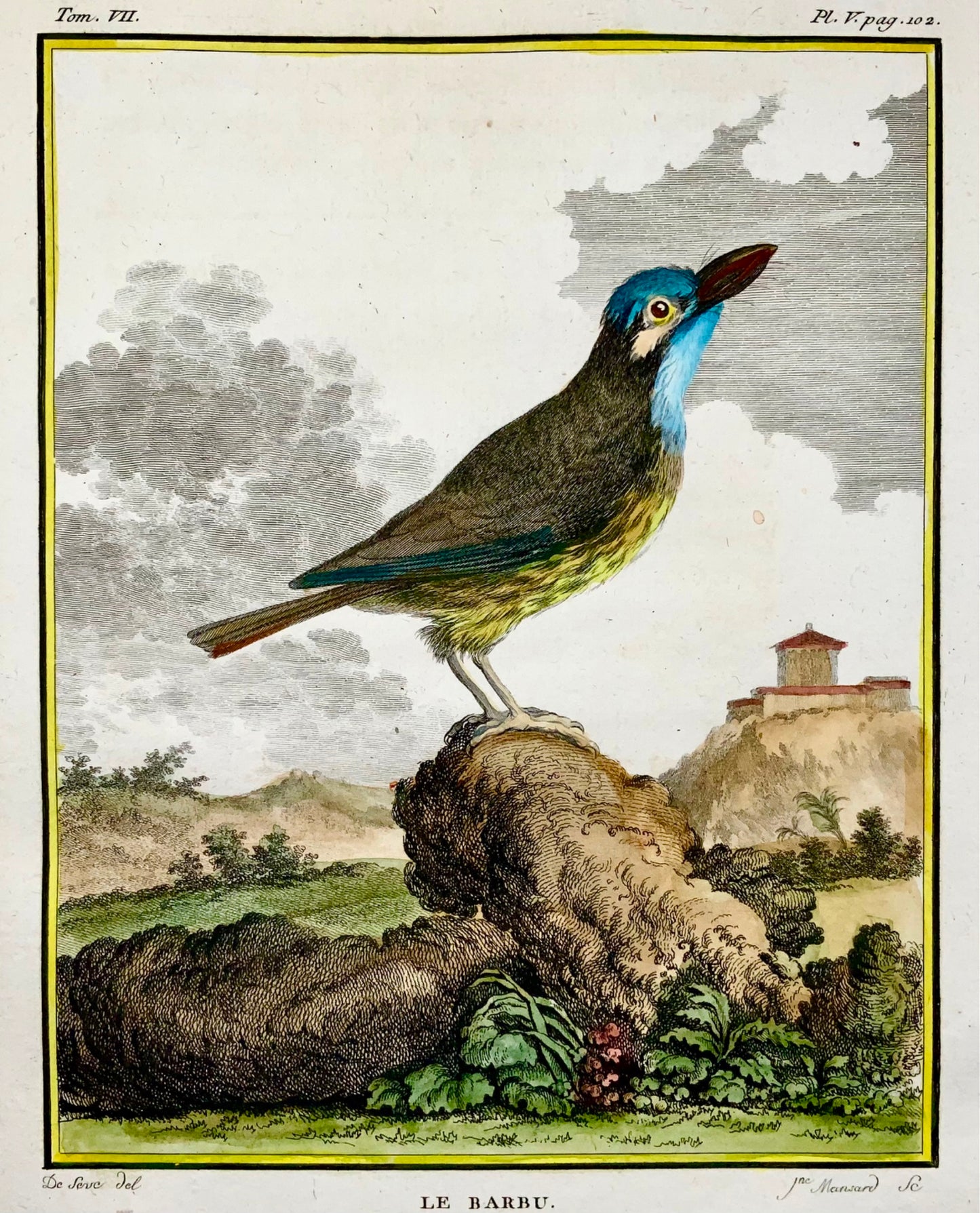 1779 de Seve, Barbet, ornithology, 4to large edition, hand coloured engraving