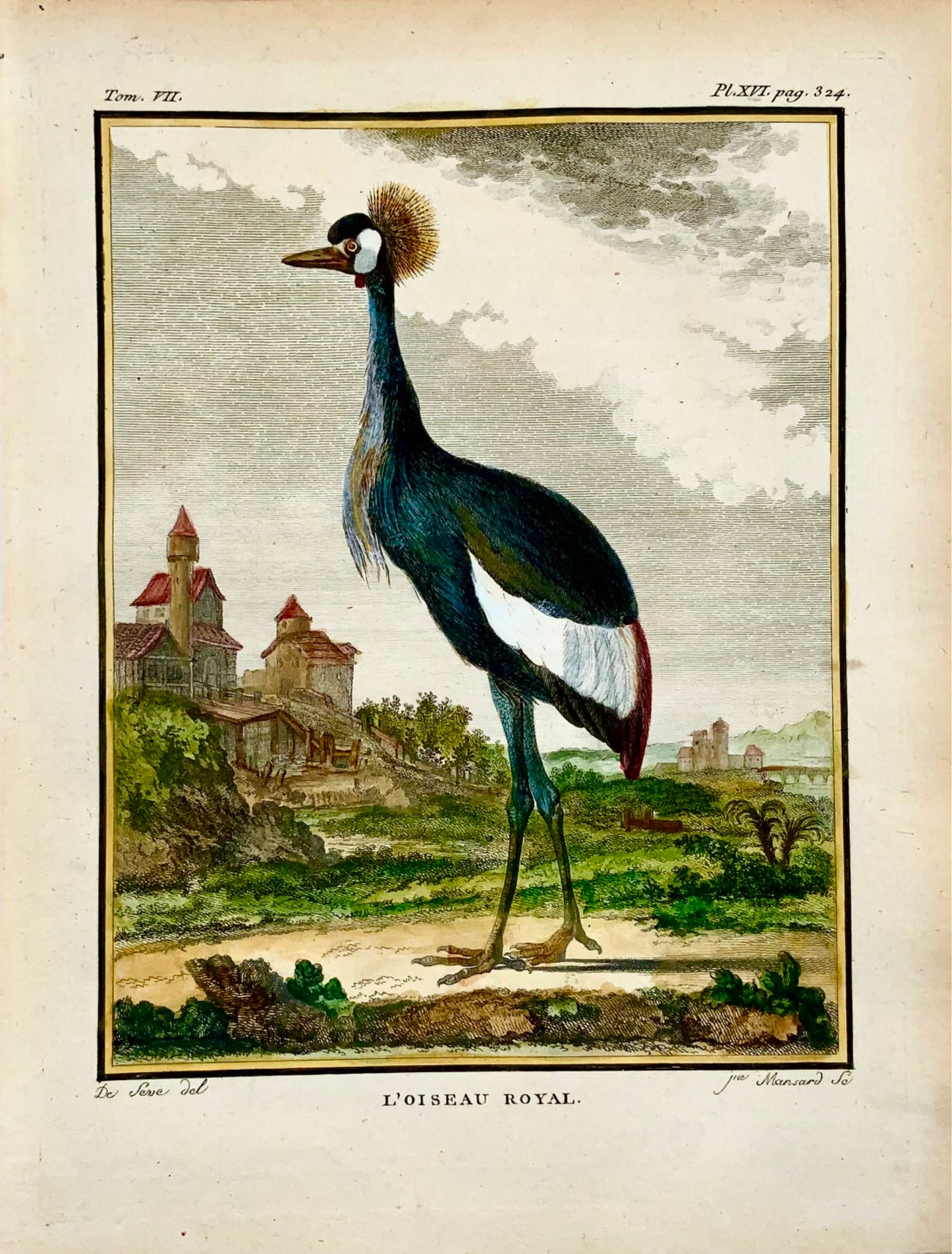 1779 de Seve - GRUE COURONNE Oiseau - Ornithologie - Gravure in-4 grande édition