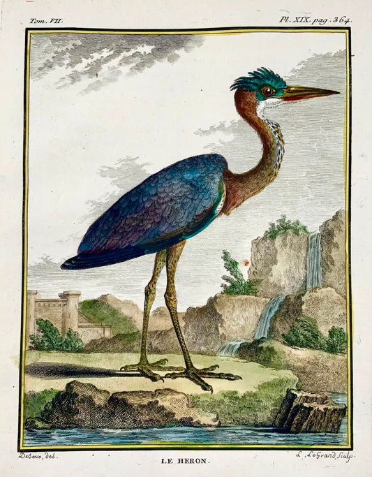 1779 Le Grand d'après de Sève, Héron, ornithologie, grande édition in-4, gravure