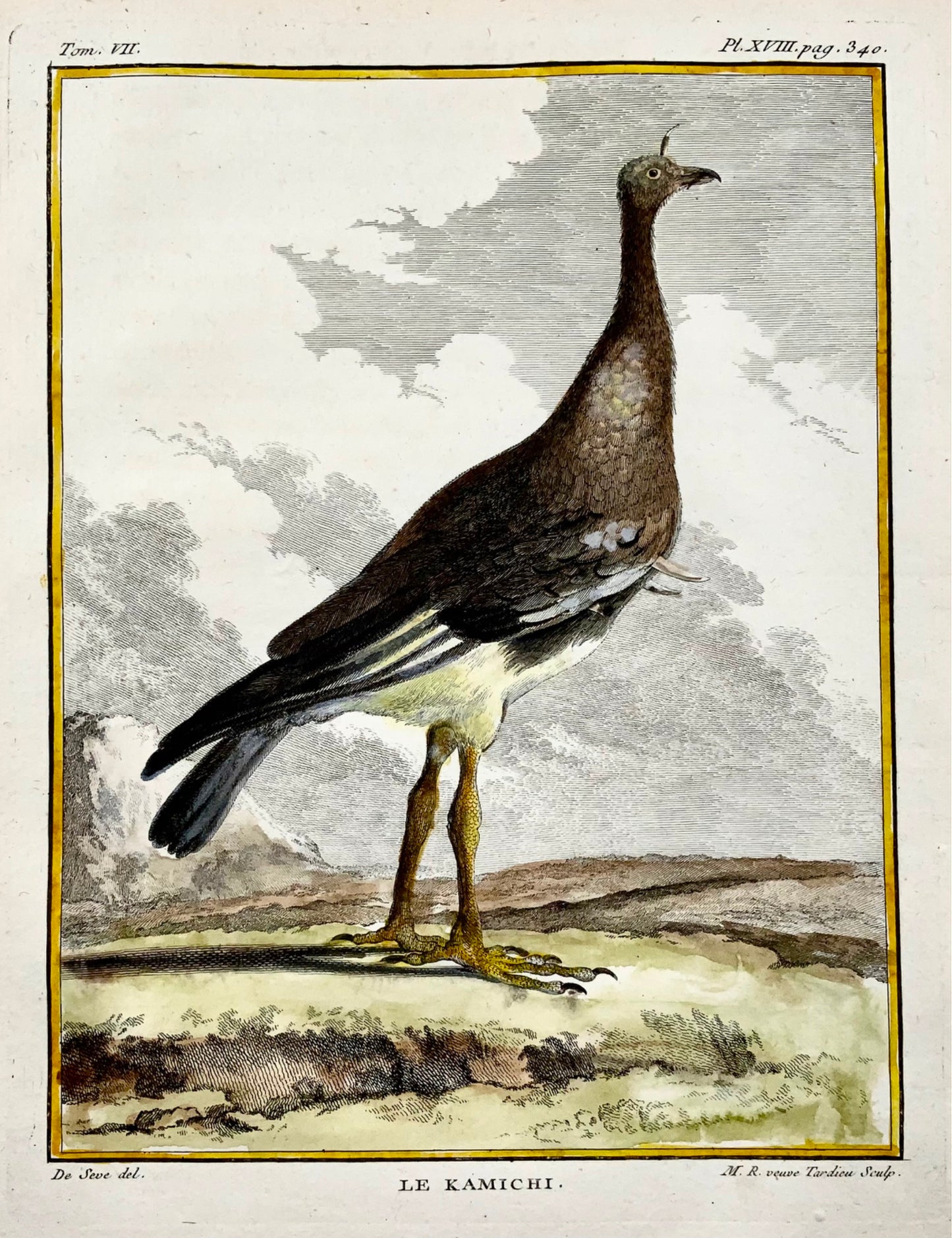 1779 de Seve - S'ern SCREAMER - Ornithologie - Gravure in-4 grande édition