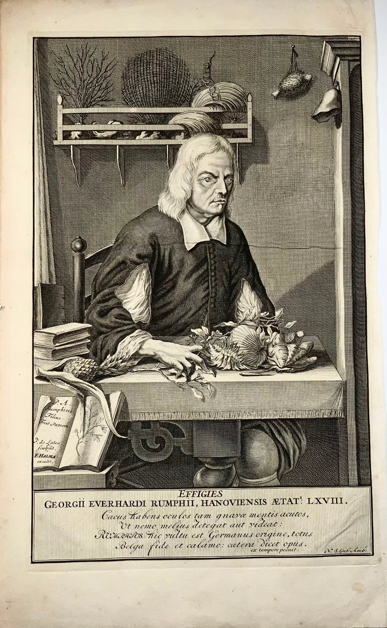 1741 Portrait de Georg Eberhard Rumphius, naturaliste, botaniste, grand in-folio, wunderkammer,