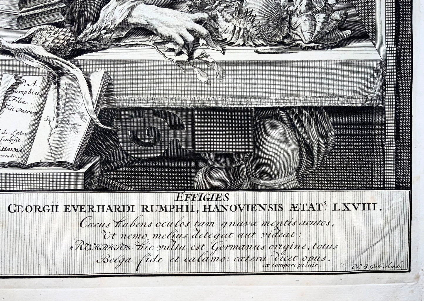 1741 Portrait de Georg Eberhard Rumphius, naturaliste, botaniste, grand in-folio, wunderkammer,