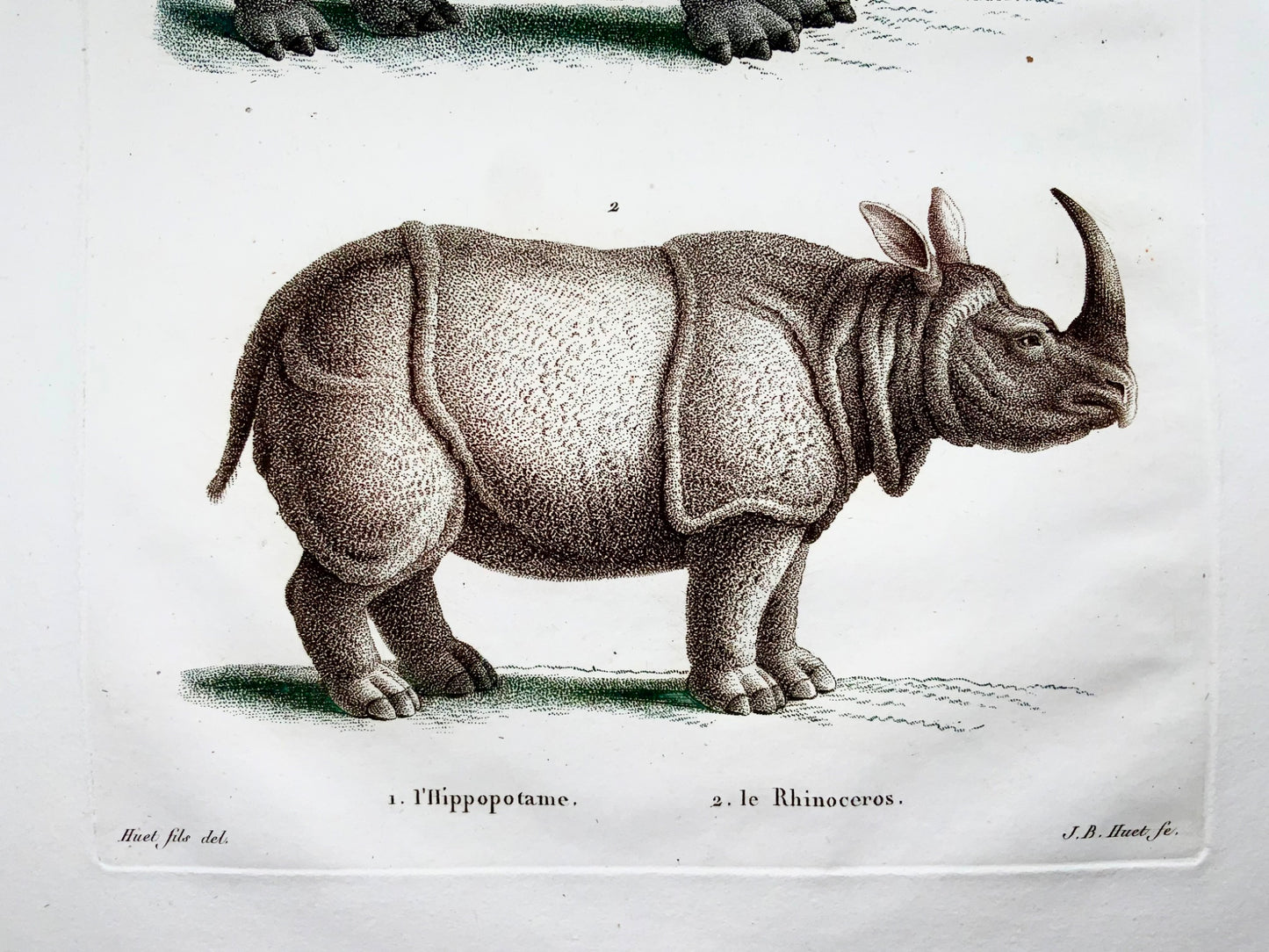 1808 Rhinocéros, Hippopotame, JB Huet [b1745] ; gravure en pointillés à la main, mammifères