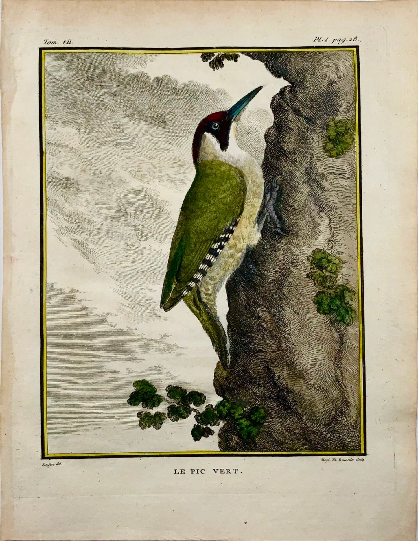 1771 Pic, De Seve, ornithologie, édition grand in-4to, gravure 