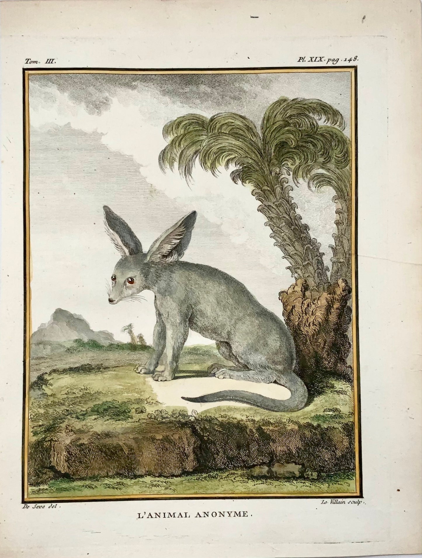 1779 Zerda, Fennec Renard ; J. de Sève, Mammifère, gravure in-4