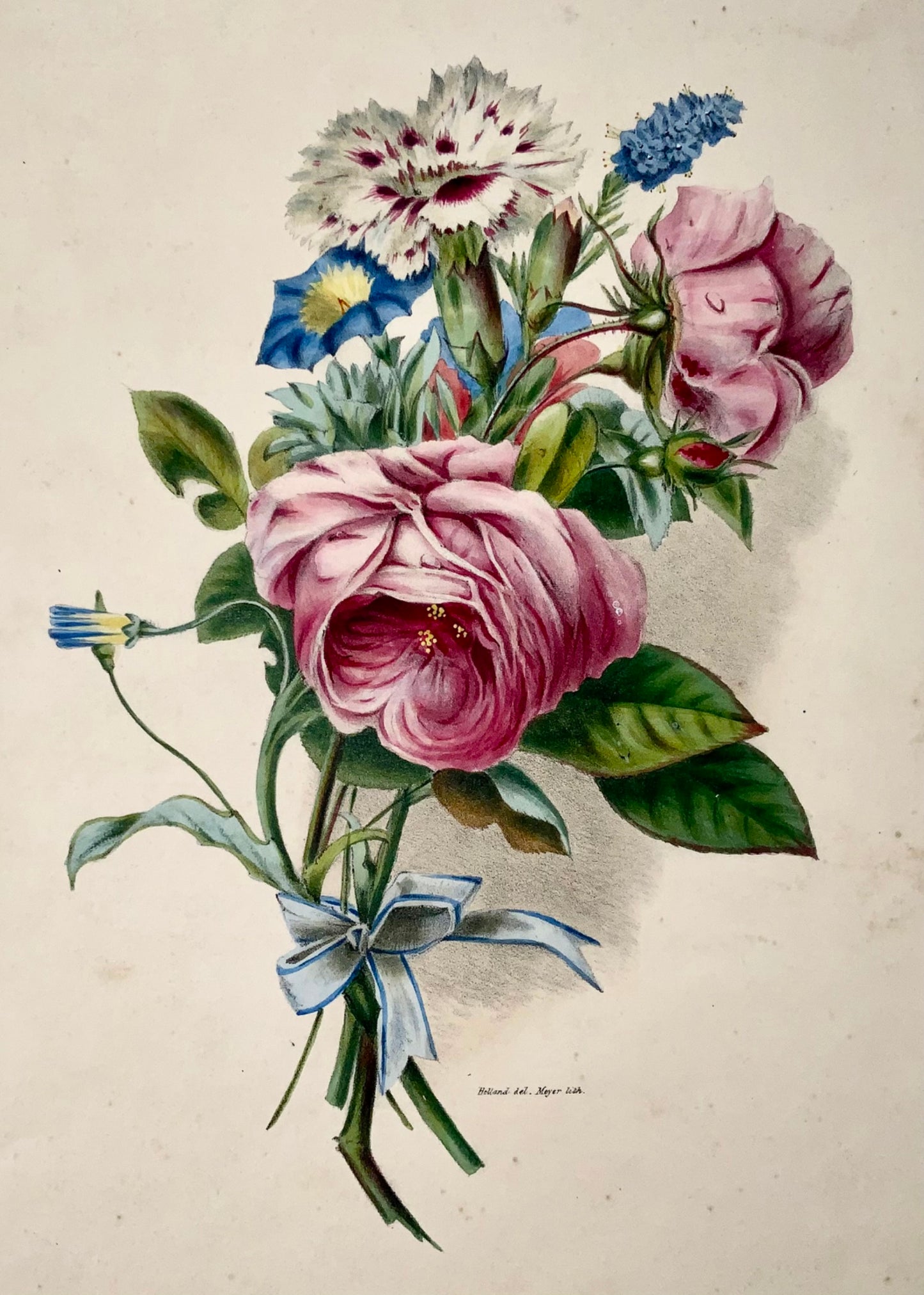 1830 Bouquet de fleurs, botanique, d'après Hollande, 35,5 cm, couleur originale main 