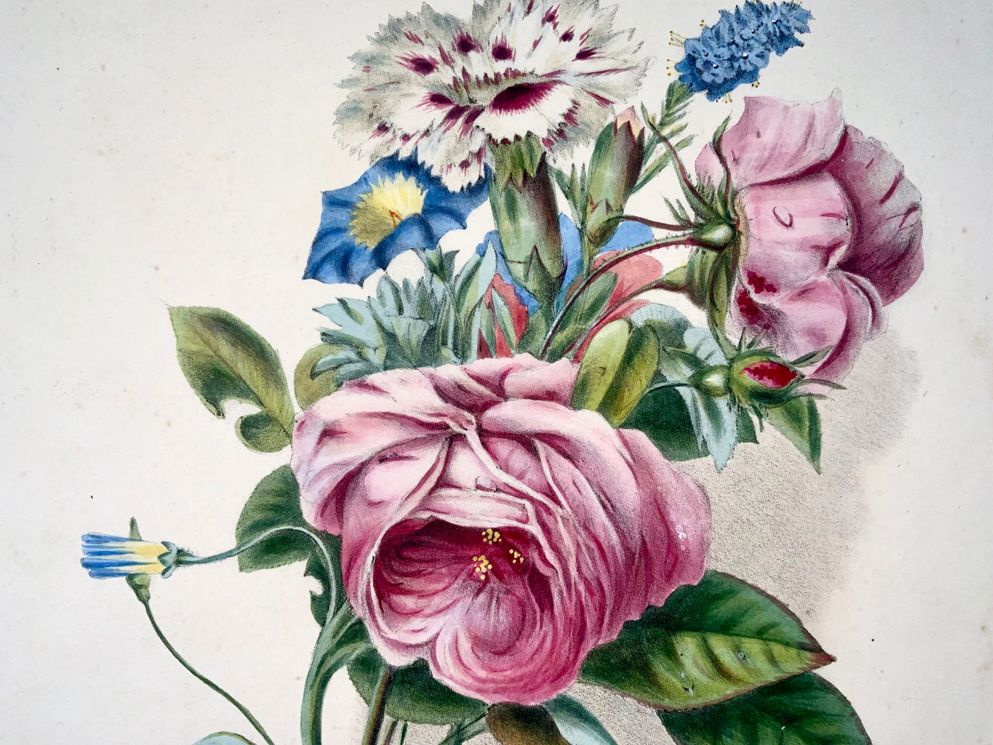 1830 Bouquet de fleurs, botanique, d'après Hollande, 35,5 cm, couleur originale main 