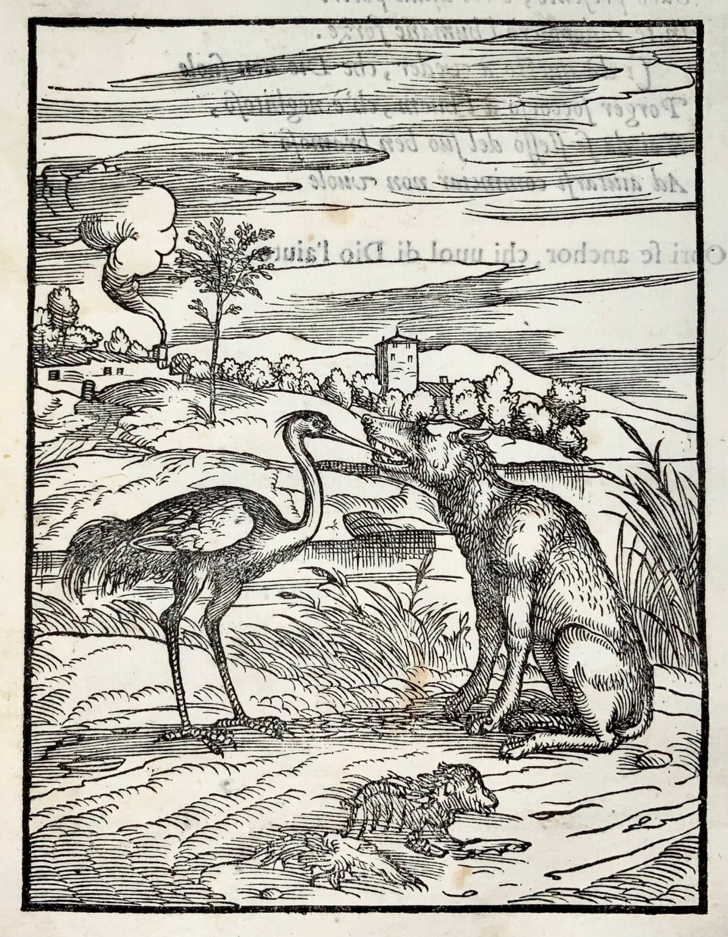 1570 Le loup et le héron, Verdizotti (né en 1525), gravure sur bois, fable, art